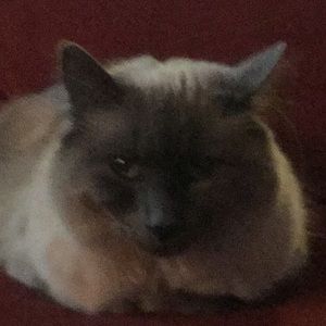 Meet your Posher, Jasmine